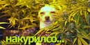 Ігор Дячук фотография #12 (источник - https://vk.com/id166775668)