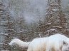 Ігор Парієнко фотография #21 (источник - https://vk.com/id167826980)