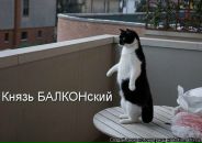 Фотография Голубковой Марины