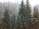 Popa Andrei фотография #30 (источник - https://vk.com/id107331125)