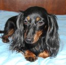 Паша Профи фотография #2 (источник - https://vk.com/id163076907)