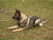 Ярик Сусляк фотография #5 (источник - https://vk.com/id6677792)