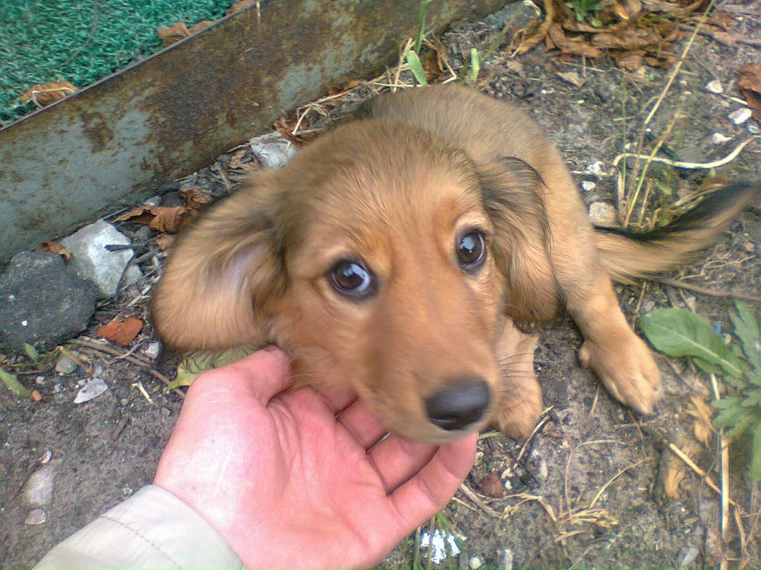 Виктор Романов фотография #34