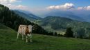 Фотография Грешновой Марии