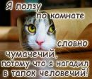 Вася Сінченко фотография #25 (источник - https://vk.com/id160922730)