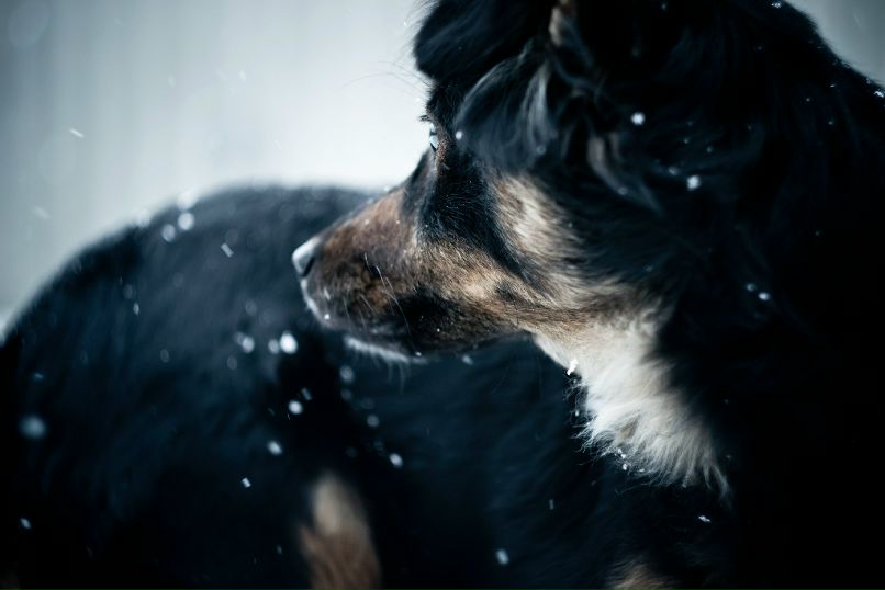 Антон Девяткин фотография #22