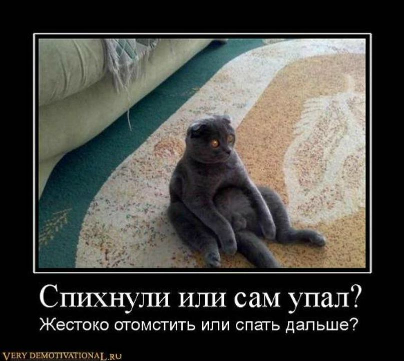 Елена Чабан фотография #5