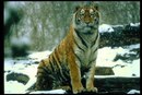Діма Магера фотография #4 (источник - https://vk.com/id162414816)