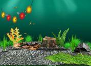 Вітя Бабич фотография #14 (источник - https://vk.com/id138317392)