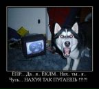 Вітя Меліка фотография #31 (источник - https://vk.com/id67286737)