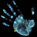 Міша Бобела фотография #29 (источник - https://vk.com/id16290372)