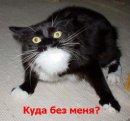 Веронічка Вишневська фотография #17 (источник - https://vk.com/id58725925)