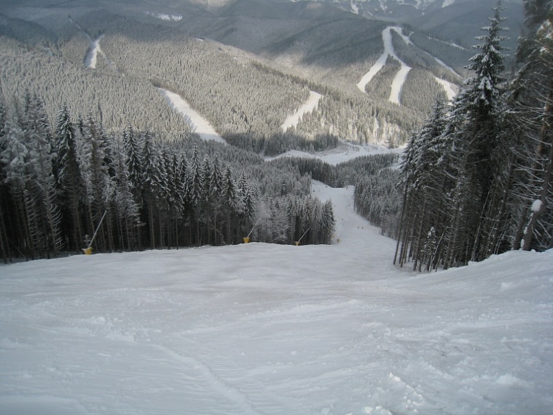 Dima Stecenko фотография #43