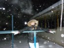 Натуся =) фотография #6 (источник - https://vk.com/id72685499)