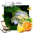 Фотография Новожениной Елены