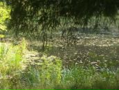 Фотография Копаневой Александры