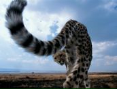 Фотография Педро Эдуарда