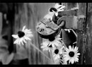 Міша Костик фотография #17 (источник - https://vk.com/id15137294)