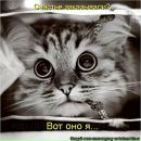 Фотография Султановой Аделии