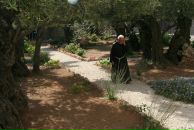 Дарья Климова фотография #43 (источник - https://vk.com/id345768)