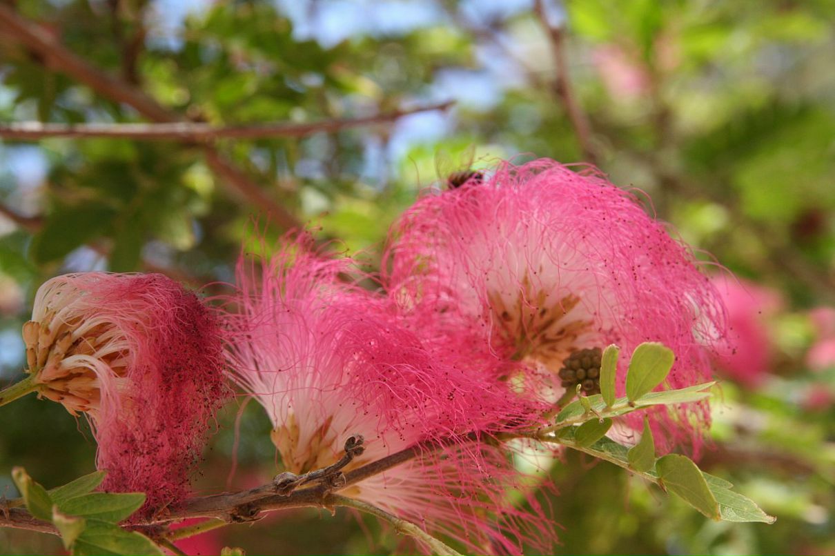 Дарья Климова фотография #37