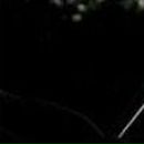 Вікторія Кузка фотография #15 (источник - https://vk.com/id134995571)