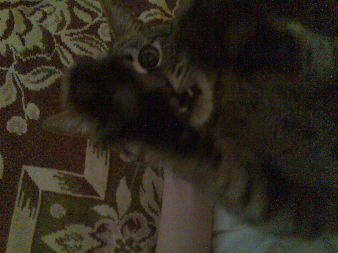 Владимир Щербаков фотография #44