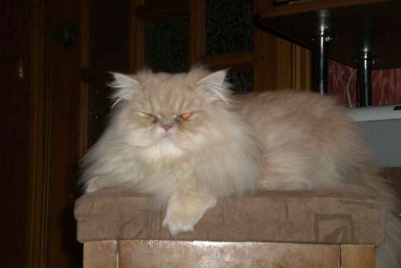 Иван Фурсов фотография #49