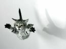 Фотография Натальи Самоед И Косы