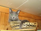 Фотография Семёновой Марины