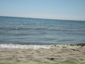 Віталій Гіркий фотография #50 (источник - https://vk.com/id131939497)