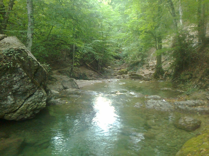 Валентин Васильченко фотография #28