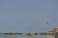 Viktoria Barabanova фотография #24 (источник - https://vk.com/id3774708)