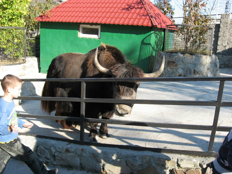 Коля Приходько фотография #15