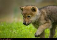 Фотография Панова Матвея