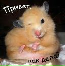 Діма Мельник фотография #10 (источник - https://vk.com/id152254024)