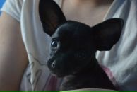 Olya Shepel фотография #48 (источник - https://vk.com/id679910)