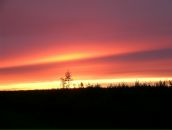 Фотография Скоклинева Ляля