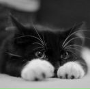 Софія Окіпна-Гатала фотография #32 (источник - https://vk.com/id27567556)