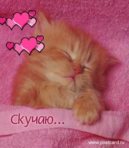 №2, Рома Шкатула №2, Рома Шкатула