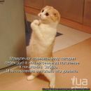 Міша Білик фотография #1