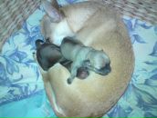 Фотография Маши Медведицы