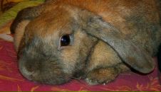 Фотография Михайловой Татьяны