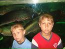 Ірина Овсієнко фотография #15 (источник - https://vk.com/id156984446)