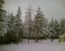 Володимир Скіра фотография #1