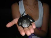 Фотография Пехтеревой Ирины