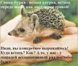 Фотография Абрамовой Ольги