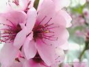 Іванка Витак фотография #27 (источник - https://vk.com/id250321117)