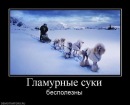 Фотография Makpal Matibekova