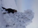 Іван Терешкевич фотография #12 (источник - https://vk.com/id58632515)